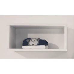 PAIDI Wandbox Eliana / Kira